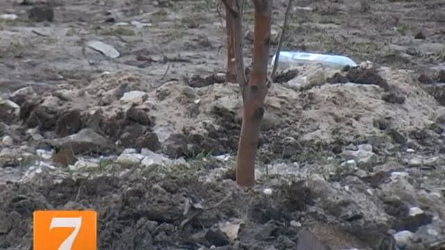 Новый сквер в Недостоево