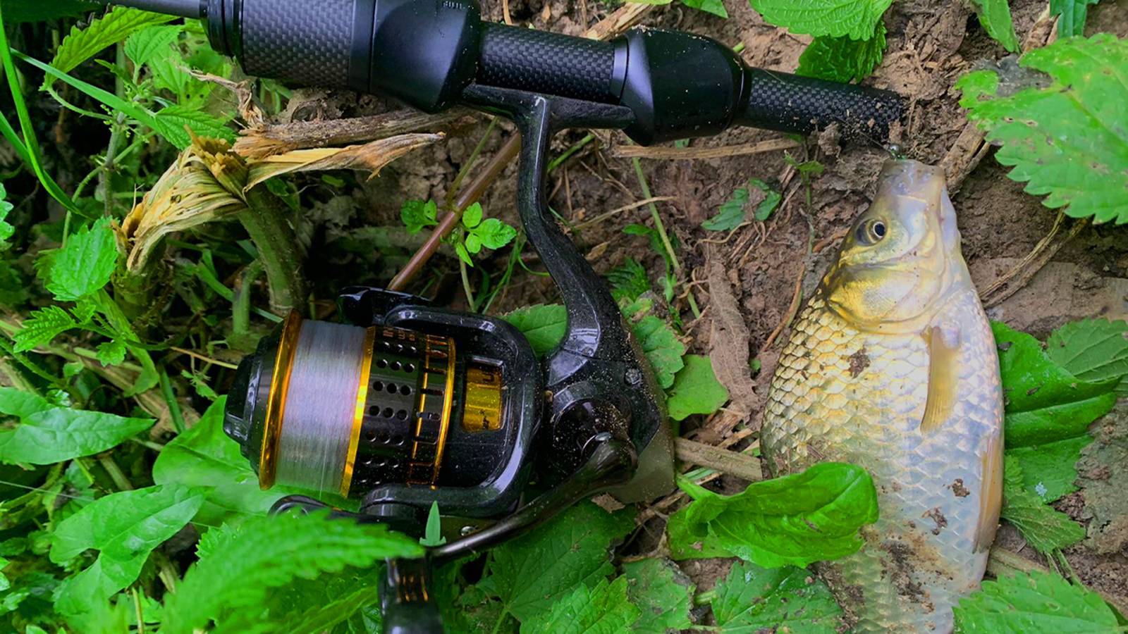 Раздача на Мормышинг с Nautilus ANT! Танта творит чудеса!! Рыбалка на спиннинг смотреть онлайн