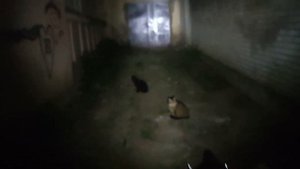 Обзор Wurkkos TS30 - самый злой фонарь в мире