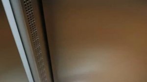 Лифт OTIS GEN2(Ambiance) 2019 г.в.