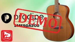 Акустическая гитара PRODIPE JMFSGA200 - демонстрация звучания