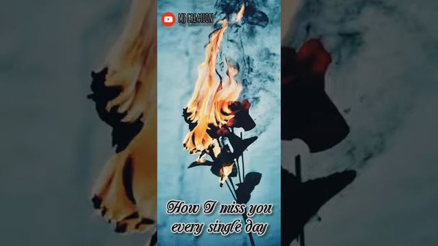 martin garrix ft david guetta so far away song  lyrics status video