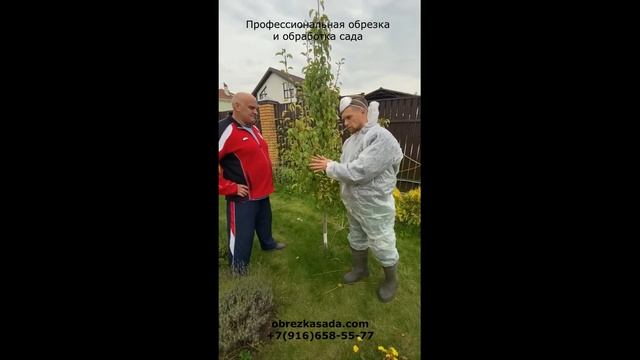 Обработка (опрыскивание сада) у народного артиста России Алексея Огурцова