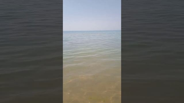 Черное море. Благовещенская. Недалеко от центрального пляжа станицы в тихом месте. 6 июля 2022 года