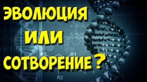 Эволюция или сотворение?🤔