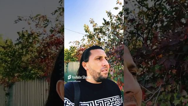 Подписаться не забудь