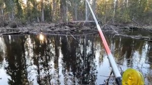 Ловим хариуса.