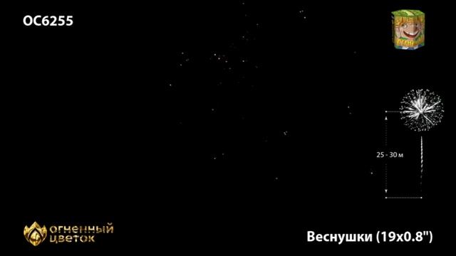 ОС6255