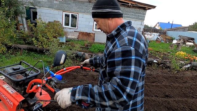 Мотоблок КORONA ИЗМЕНИТ ВАШ ОГОРОД НА ВСЕГДА . С братом на огороде .