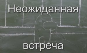 Among Us: Неожиданная встреча (любительский мультфильм)