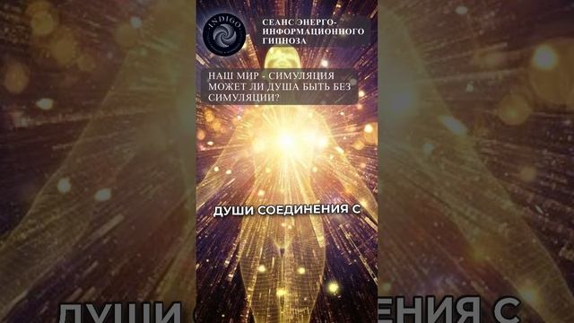 Если наша жизнь симуляция, то какая цель у наших душ?