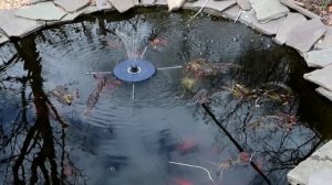 NEW 2022 Solar Fountain Pump AMZtime🌞Floating LED Lights Review☀
