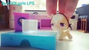 LPS кухня #1 (мужчины готовят)