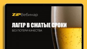 Лагер в сжатые сроки без потери качества, Вебинар