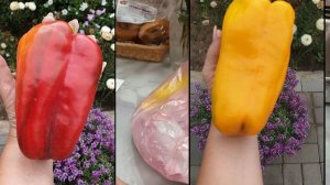 Пришло письмо ✉️