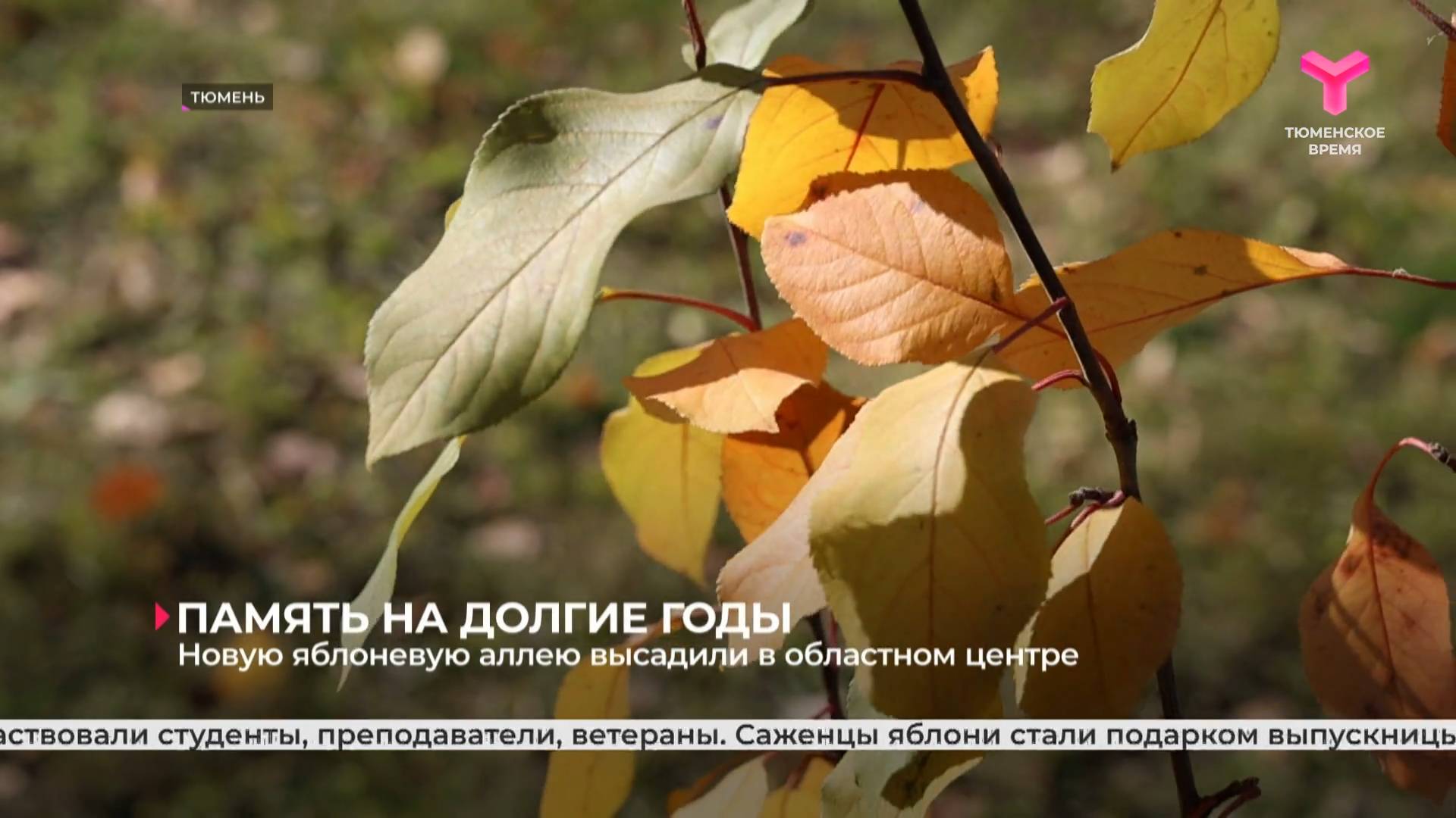 Новую яблоневую аллею высадили в областном центре