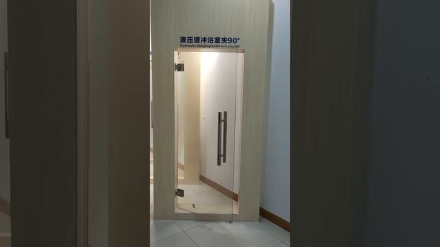 glass to wall Hydraulic Door Hinge