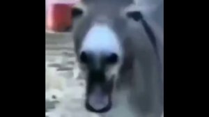 Вот это у неё баскетбол