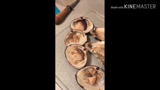 Сочи/УСТРИЦЫ, ПРОБУЮ ПЕРВЫЙ РАЗ В ЖИЗНИ/ смотреть онлайн