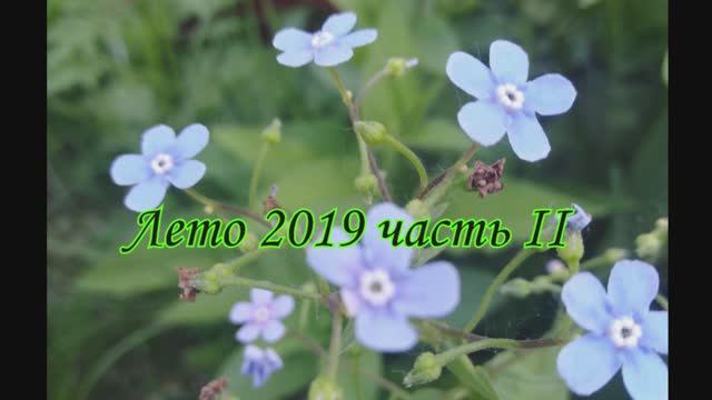 Лето 2019 год часть 2