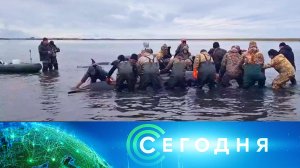 «Сегодня»: 2 октября 2024 года. 08:00 | Выпуск новостей | Новости НТВ