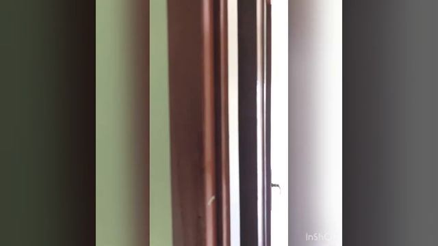 Catania viale Rapisardi 98: appartamento di 3 vani ed accessori смотреть онлайн