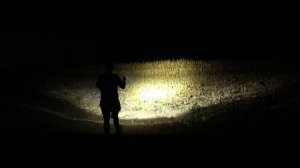 Wurkkos WK03 Comparison with Wurkkos FC12, FC11 & Sofirn SC31 PRO