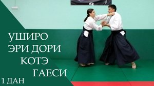 Уширо эри дори - котэ гаеси