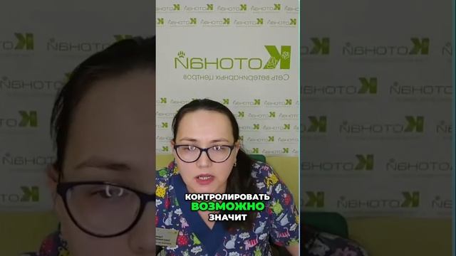 Управление здоровьем кота | инсульт и сопутствующие заболевания