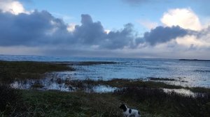 Белое море вышло из берегов.