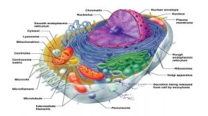 Скайп-конференция “Ключи истины”  № 18