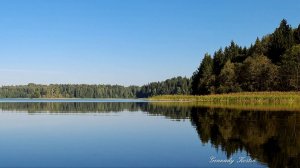 4K Умиротворённое созерцание