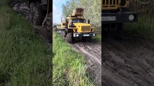 Вездеход. Экскаватор-планировщик ЭО-43213 на шасси Урал 4320. Прокладка труб #donriviera #rnd