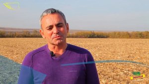 ООО Рассвет Куйбышевский район Ростовская область