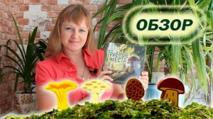 🍄🐛 Грибные места ⧸ Обзор + мнение ⧸ Партия на четверых