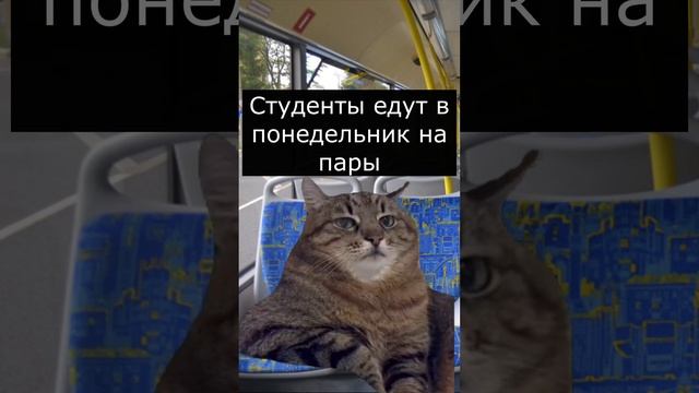 Когда студент едет домой в пятницу...