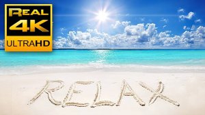 4K Relaxing & Satisfying Ocean Beach Waves and Birds Sounds 🌊 Yoga Sleep Relax Meditation - 2 hours