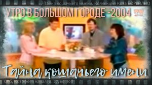 Тайна кошачьего имени. В гостях у "Утра в большом городе" фелинологи-номинологи...