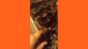ЧАЭС 🕯, МАКЕТ!!!. из картона 😯.