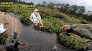 Выезд за пятнами 28.09.2024