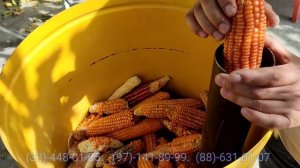 УНВЕРСАЛ ДРОБИЛКАЛАР КЛЕТЛАРГА ЖУНАТДИК !! # универсал # дробилка # тигирмон