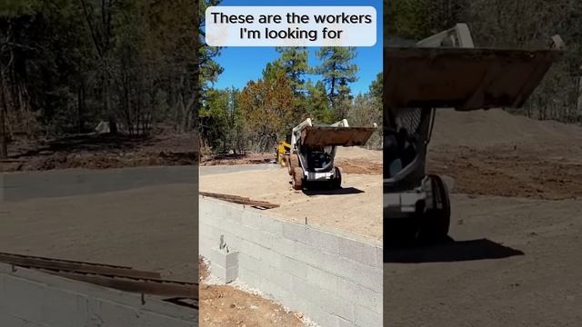 These are the workers I'm looking for #adamrose #construction #workers