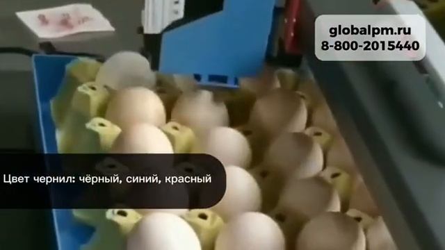 Оборудование для маркировки яиц в лотках MS300 #маркировкаяиц смотреть онлайн