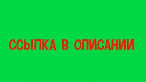 Қазақша бизнес Бразилияда / Бизнес по-казахски в Бразилии (2023)