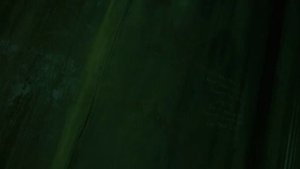 Пила Игра на выживание - Разрыватель челюстей (Аманда)