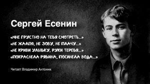 Ко Дню Рождения Сергея Есенина. Читает Владимир Антоник