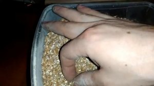 Вальцовая мельница для солода ч2 и помол солода