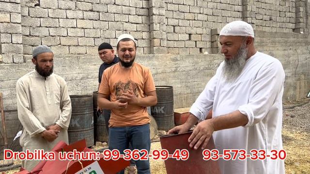 Solihon domlamizni fermalaridamiz.Qurbonlik uchun buqalar