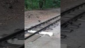 Что будет если под поезд петарду положить