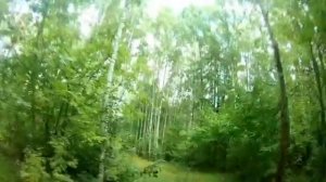 Кунашир. Прогулка в День лошади.